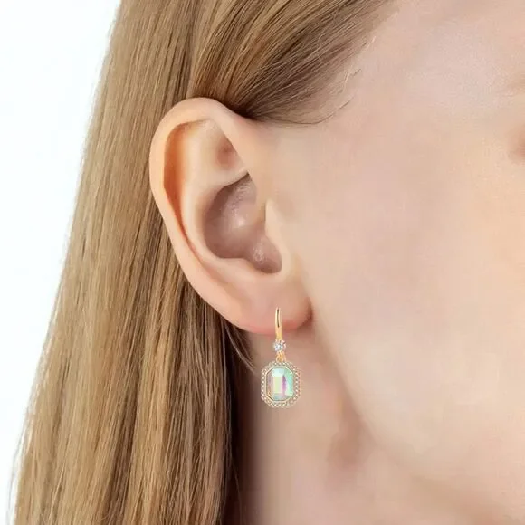 14K Yellow Gold with Iridescent AB Austrian Crystal Octagon Halo Hook Earrings